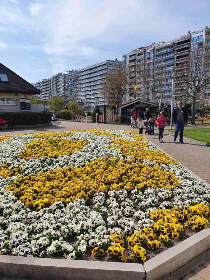 Апартаменты Sun And Fun Бланкенберге Экстерьер фото